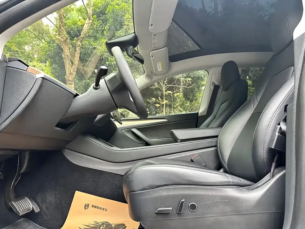 Tesla Model Y 2021 из CN, фото 3