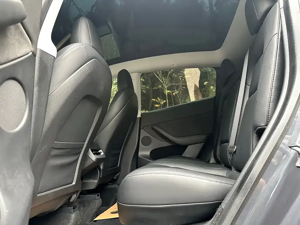 Tesla Model Y 2021 из CN, фото 5