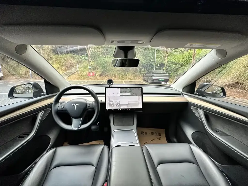 Tesla Model Y 2021 из CN, фото 2
