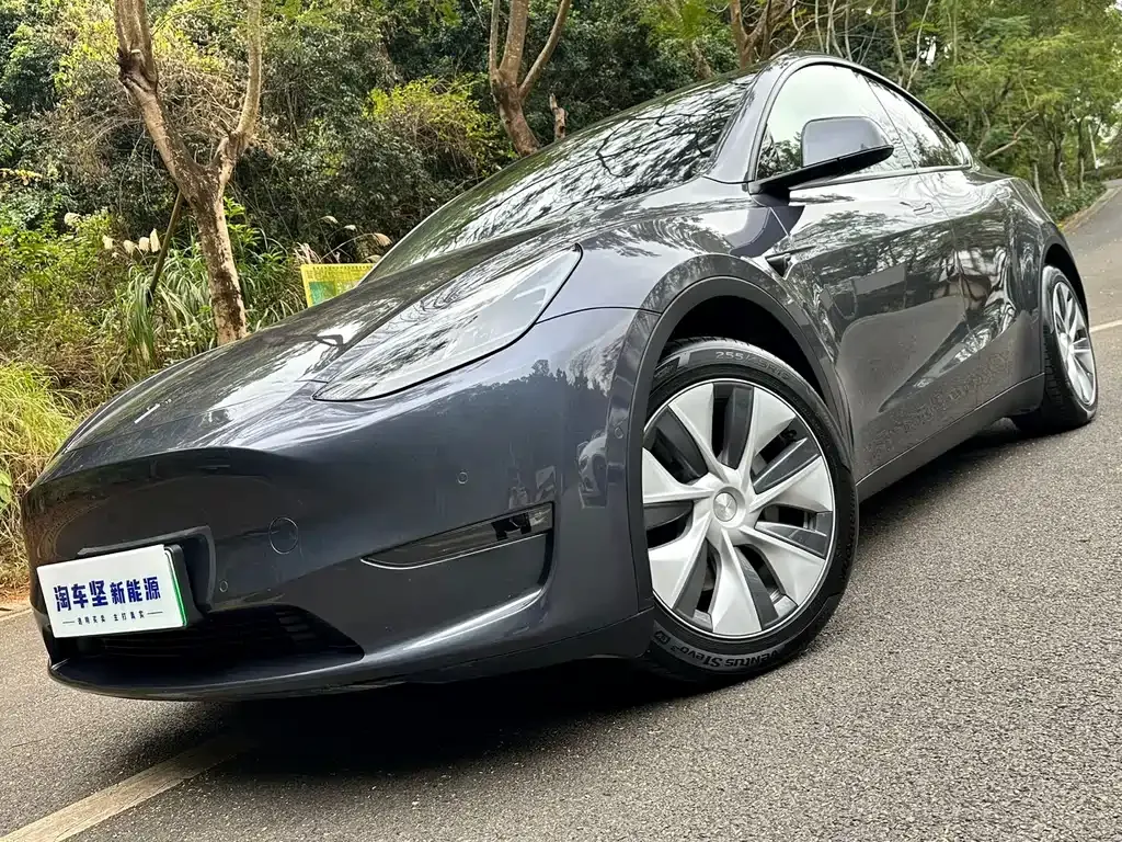 Tesla Model Y 2021 из CN, фото 8