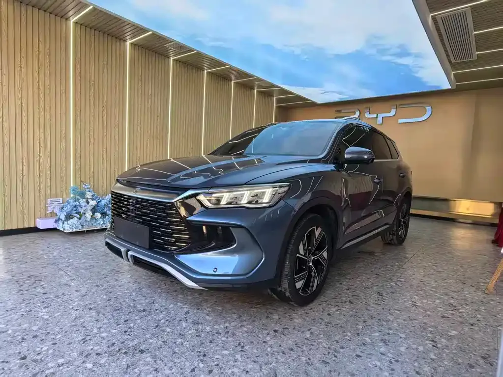 BYD Pro New Energy — фото 1
