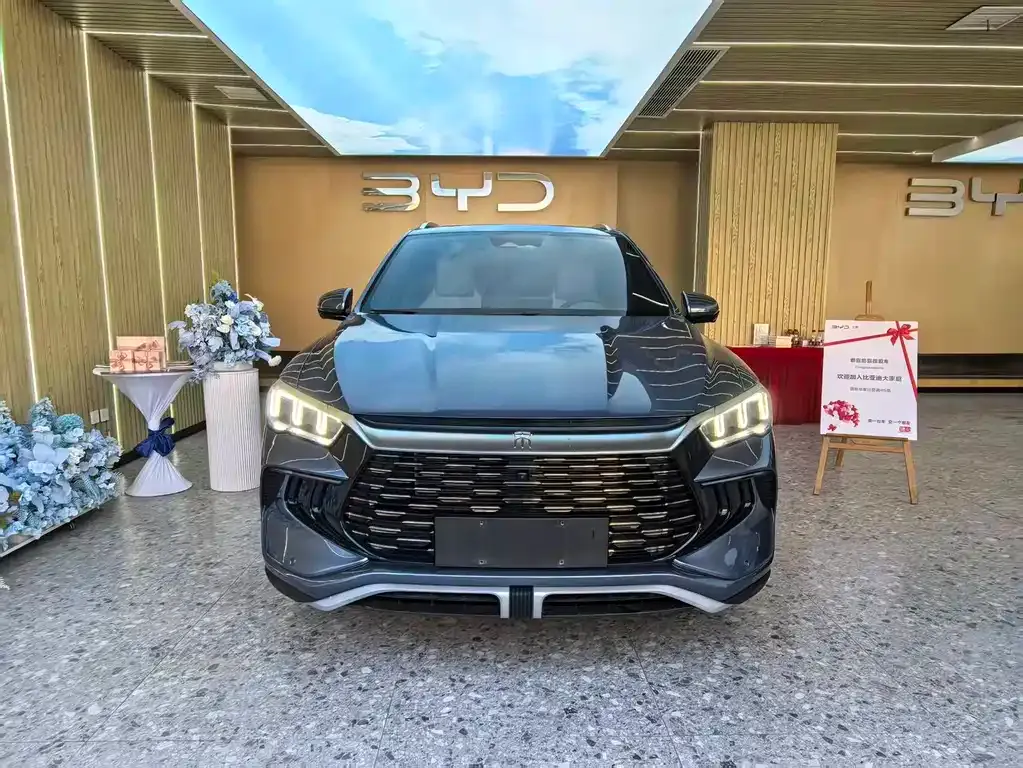 BYD Pro New Energy — фото 10