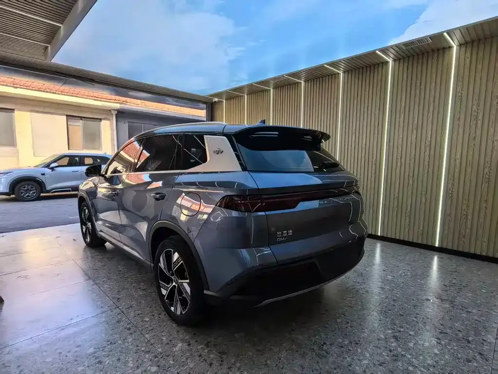 BYD Pro New Energy — фото 7
