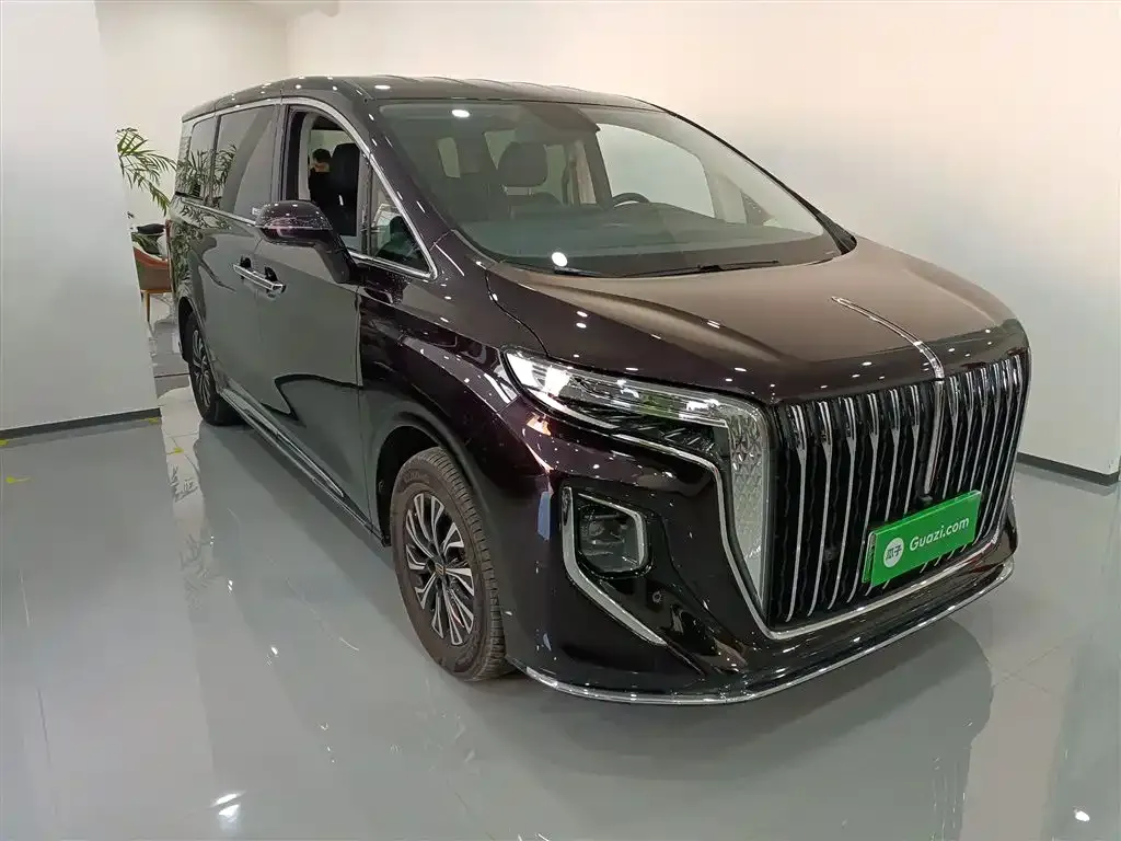 Hongqi HQ9 PHEV 2024 из CN, фото 9