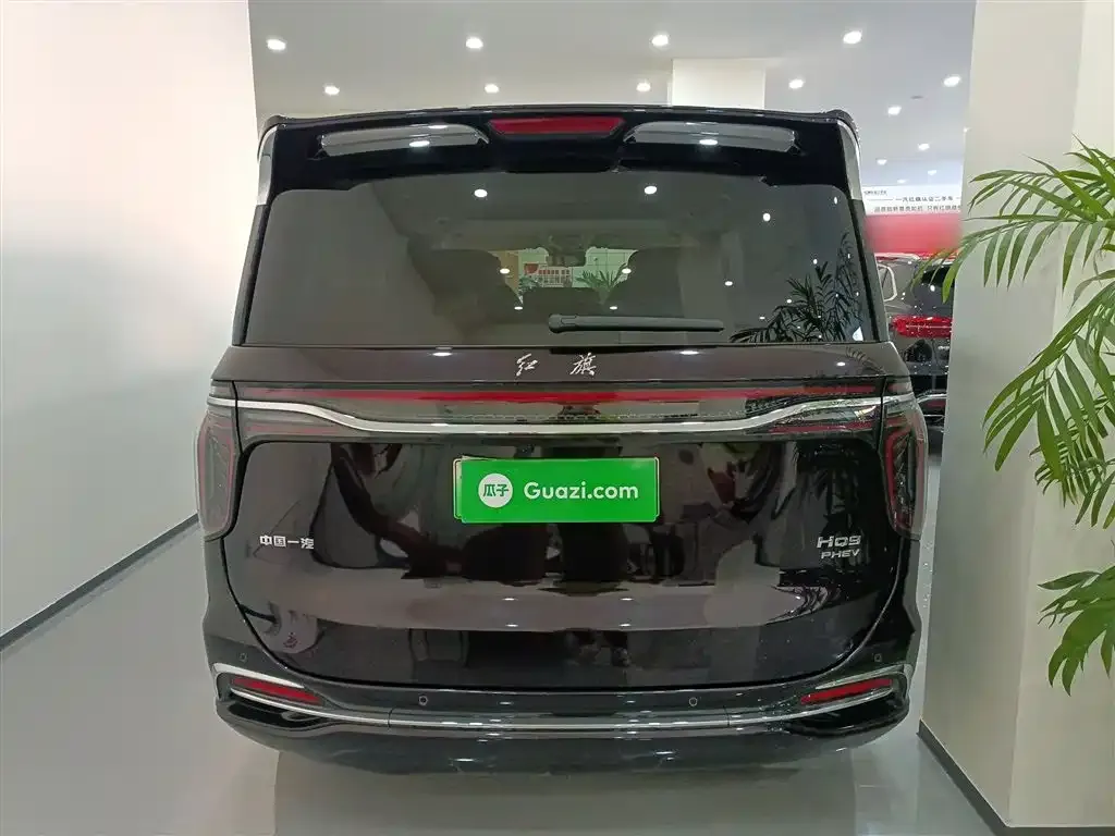 Hongqi HQ9 PHEV 2024 из CN, фото 4