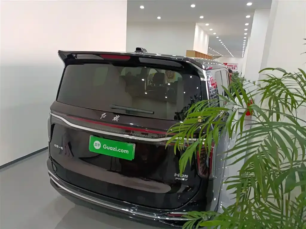 Hongqi HQ9 PHEV 2024 из CN, фото 6