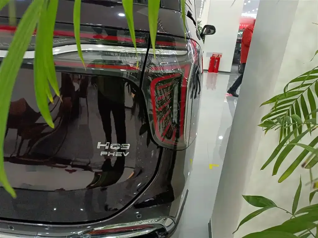 Hongqi HQ9 PHEV 2024 из CN, фото 2