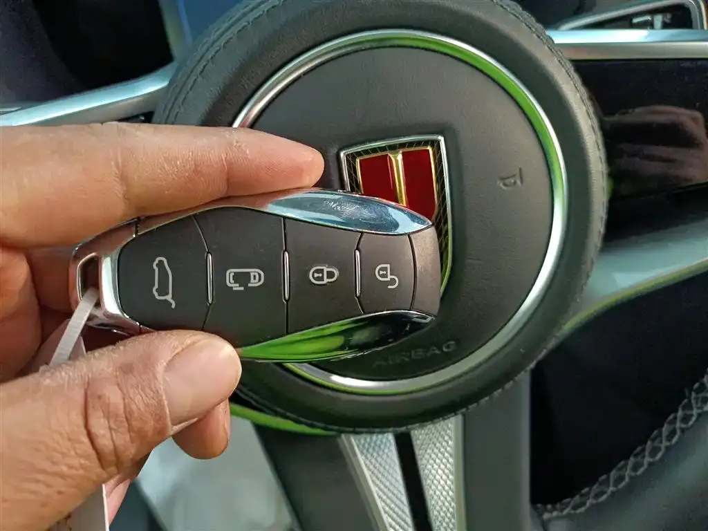 Hongqi HQ9 PHEV 2024 из CN, фото 3