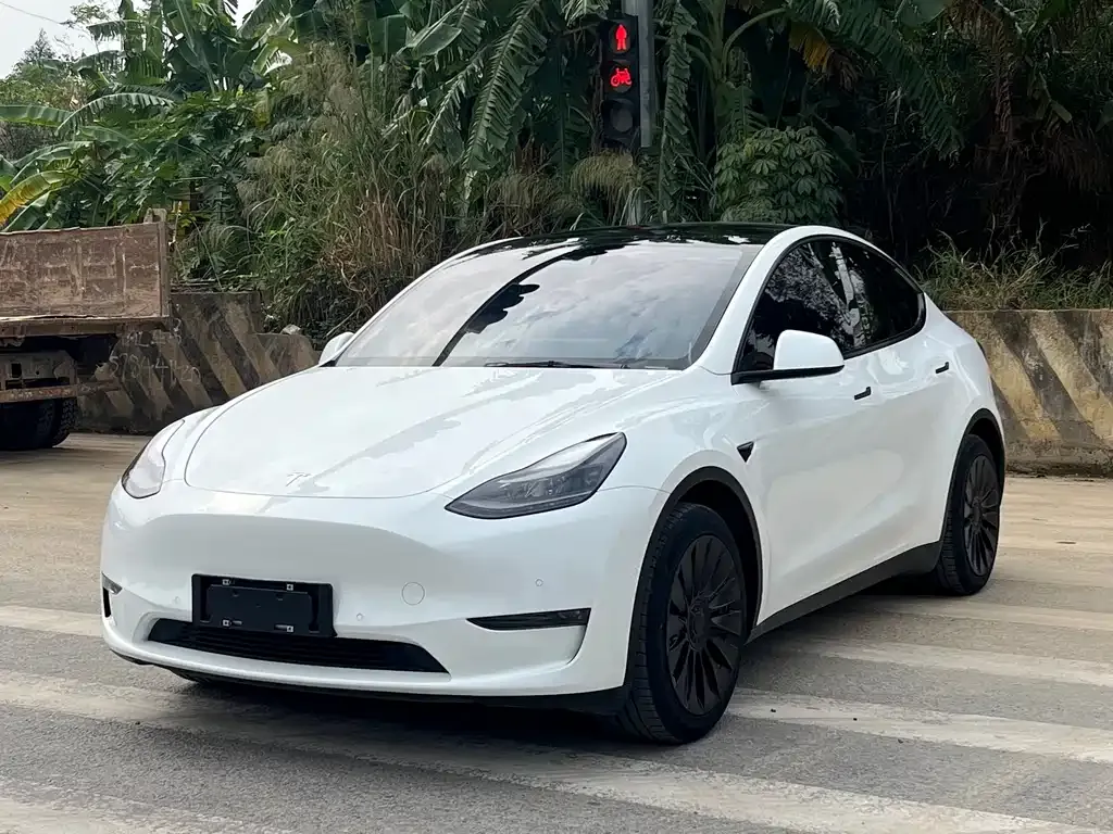 Tesla Model Y 2022 из CN, фото 1
