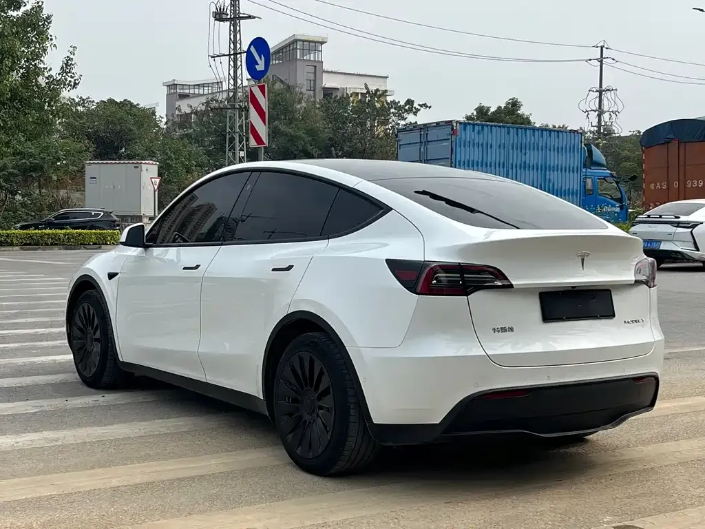 Tesla Model Y 2022 из CN, фото 8