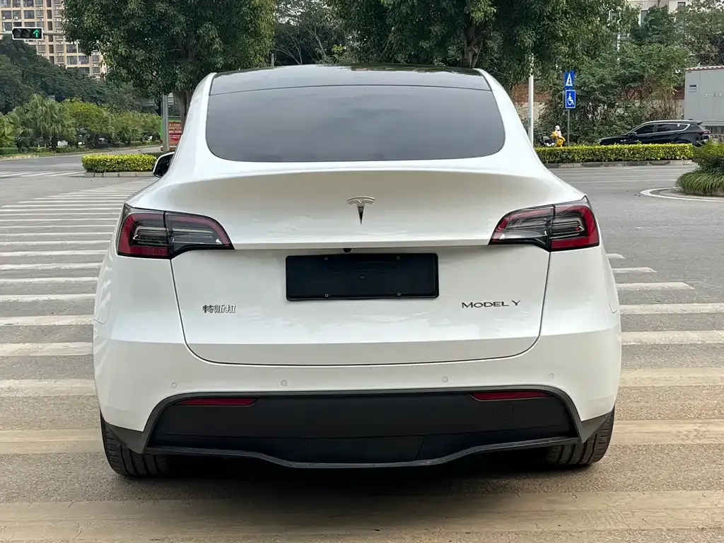 Tesla Model Y 2022 из CN, фото 9
