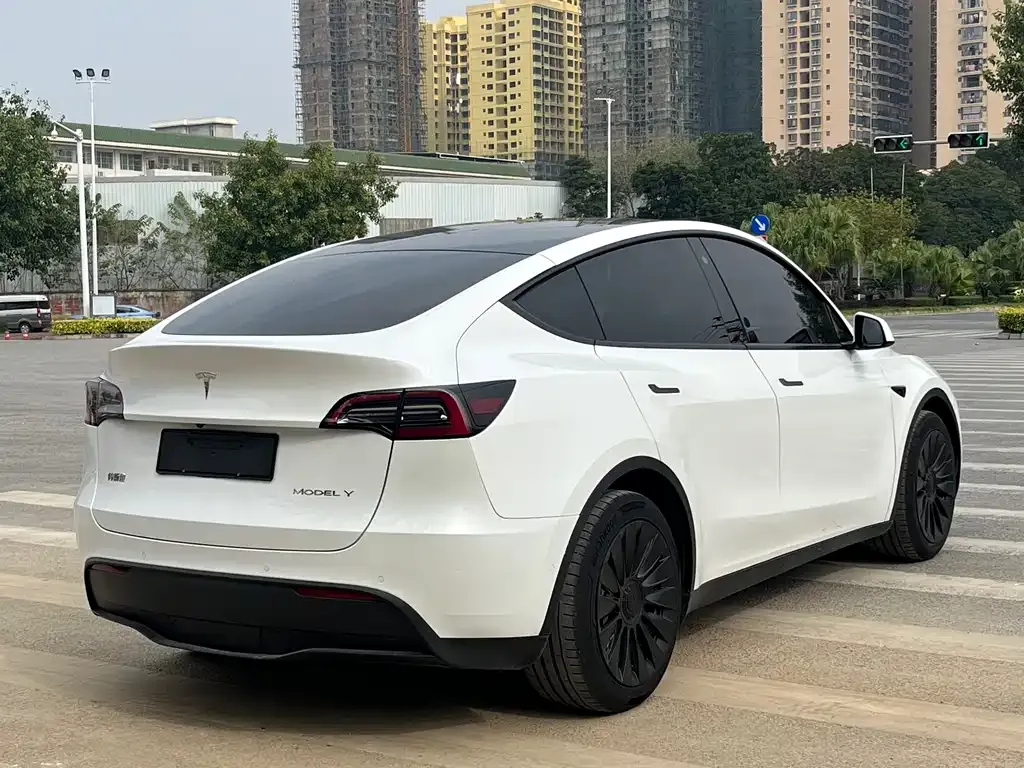 Tesla Model Y 2022 из CN, фото 3