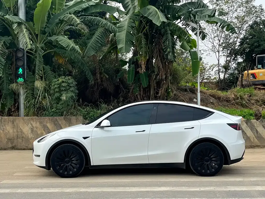 Tesla Model Y 2022 из CN, фото 5