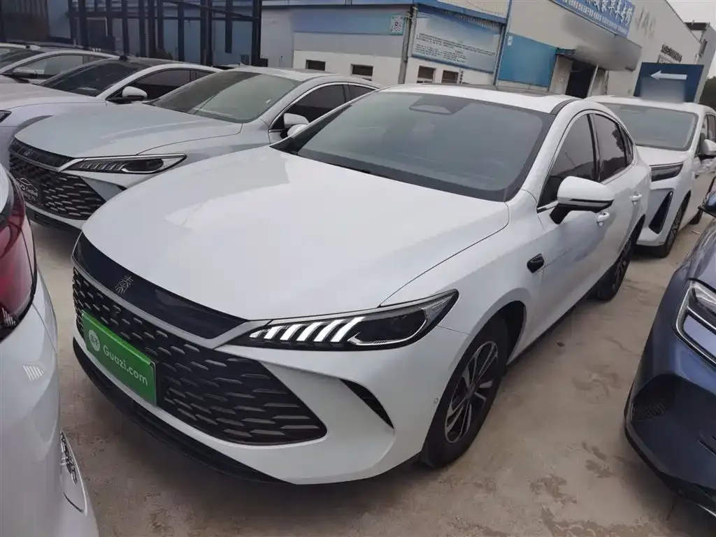BYD Qin PLUS — фото 2