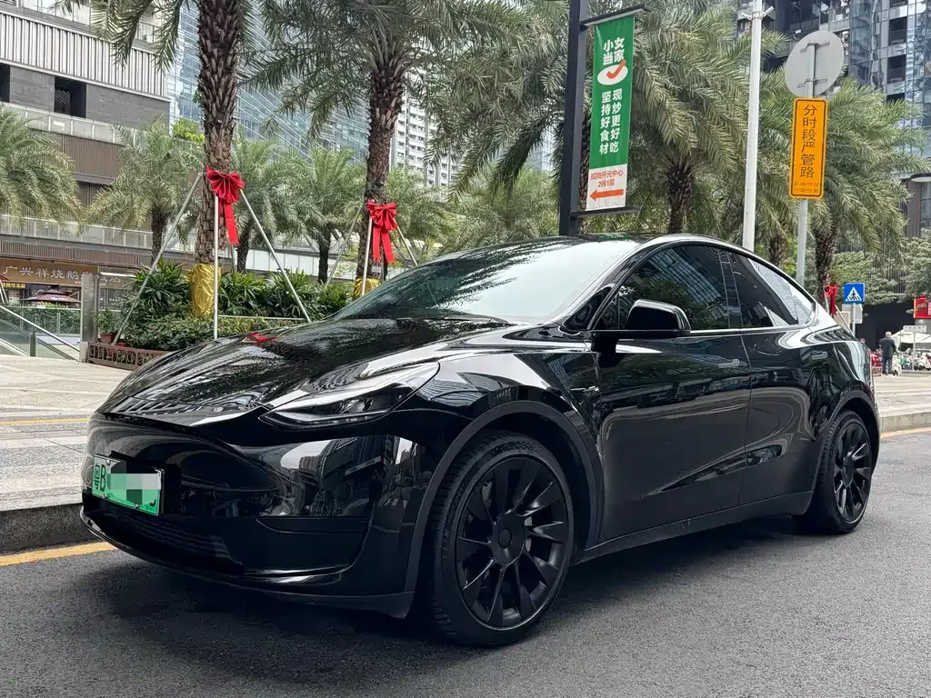 Tesla Model Y 2022 из CN, фото 10