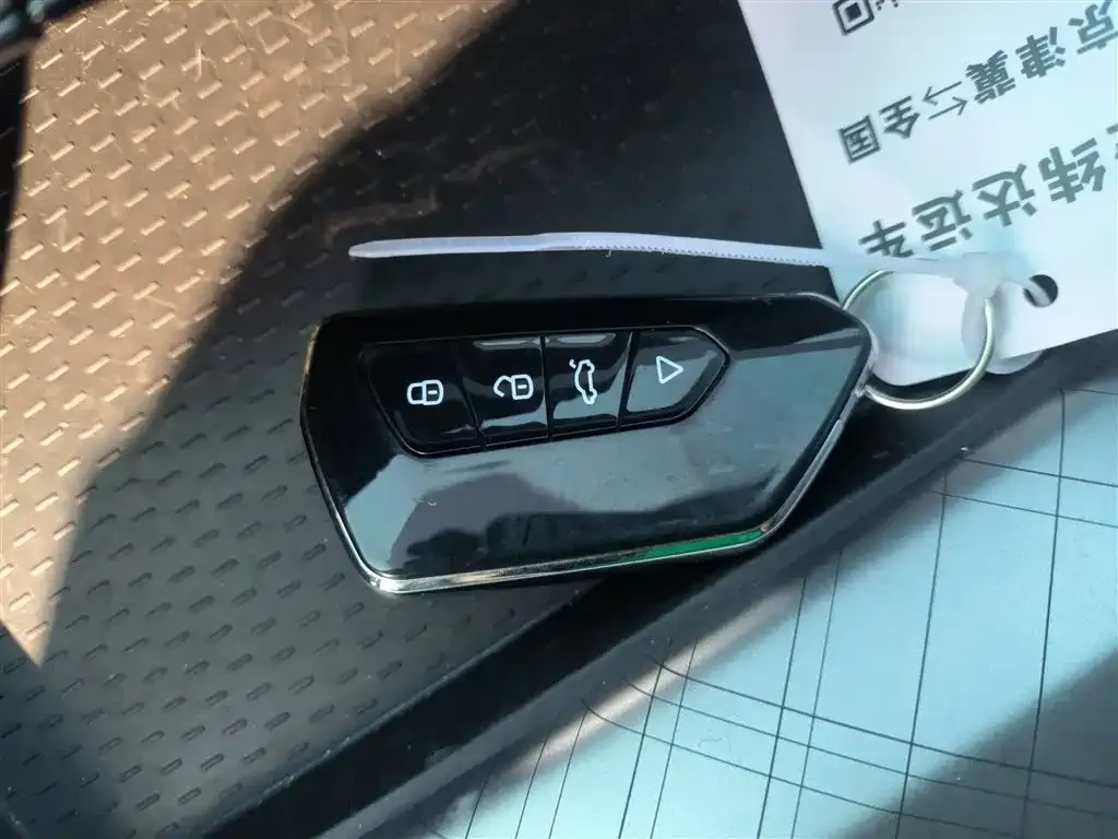 Geely Xingrui 2021 из CN, фото 2