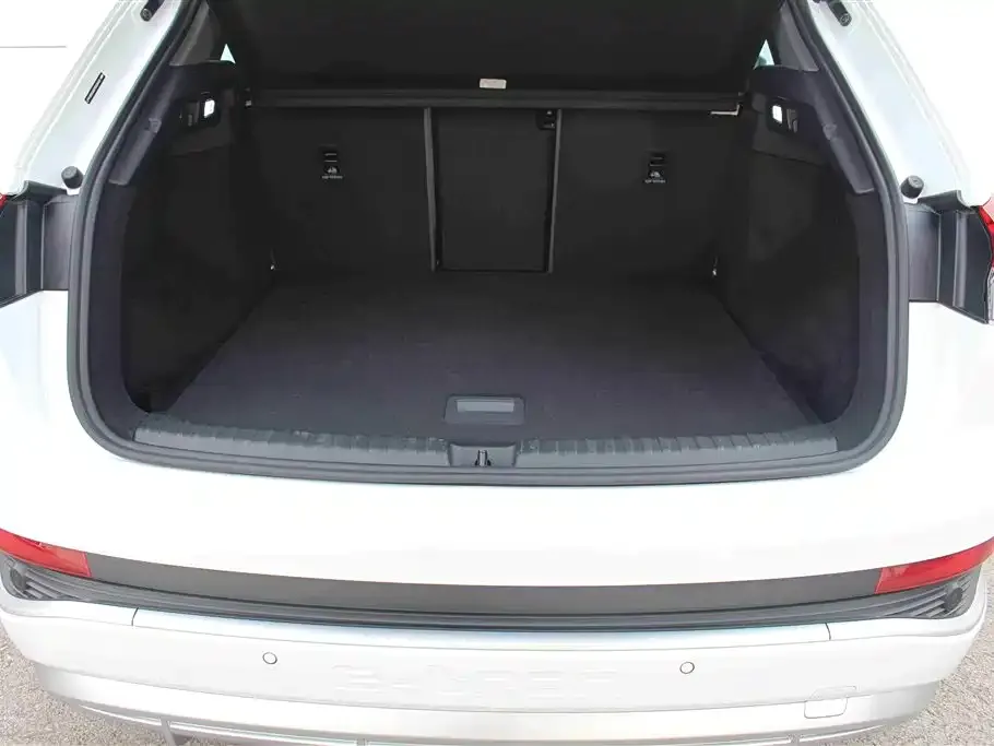 Audi Q4 e-tron 2024 из CN, фото 3