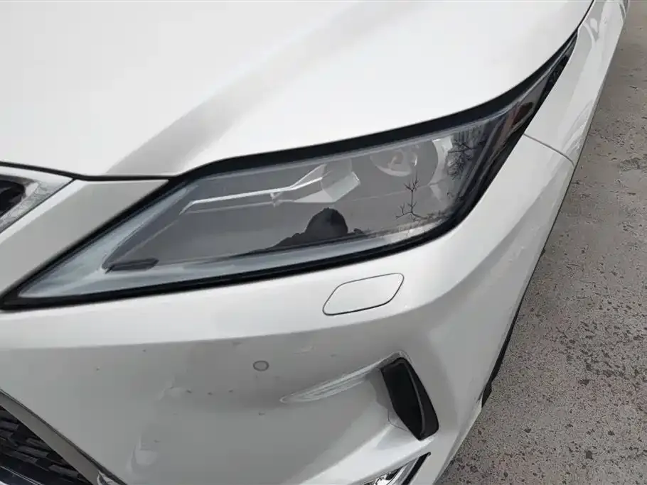 Lexus RX 2022 из CN, фото 2