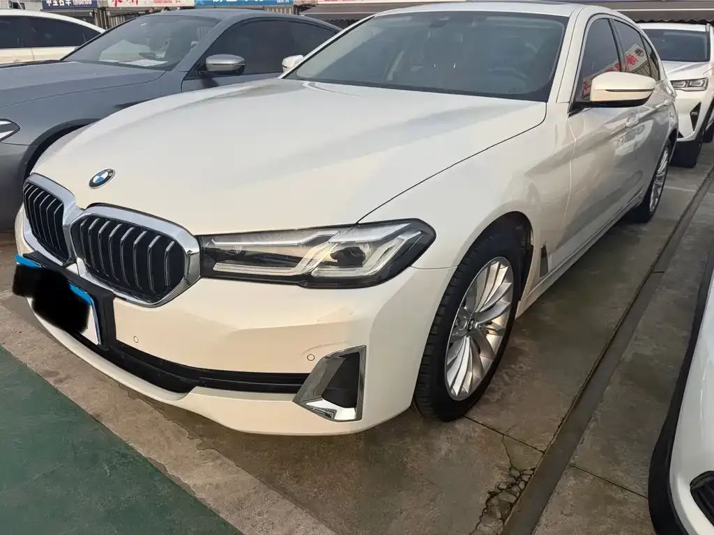 BMW 5 Series 2021 из CN, фото 1