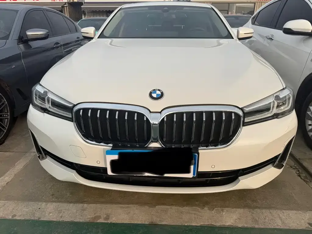 BMW 5 Series 2021 из CN, фото 2