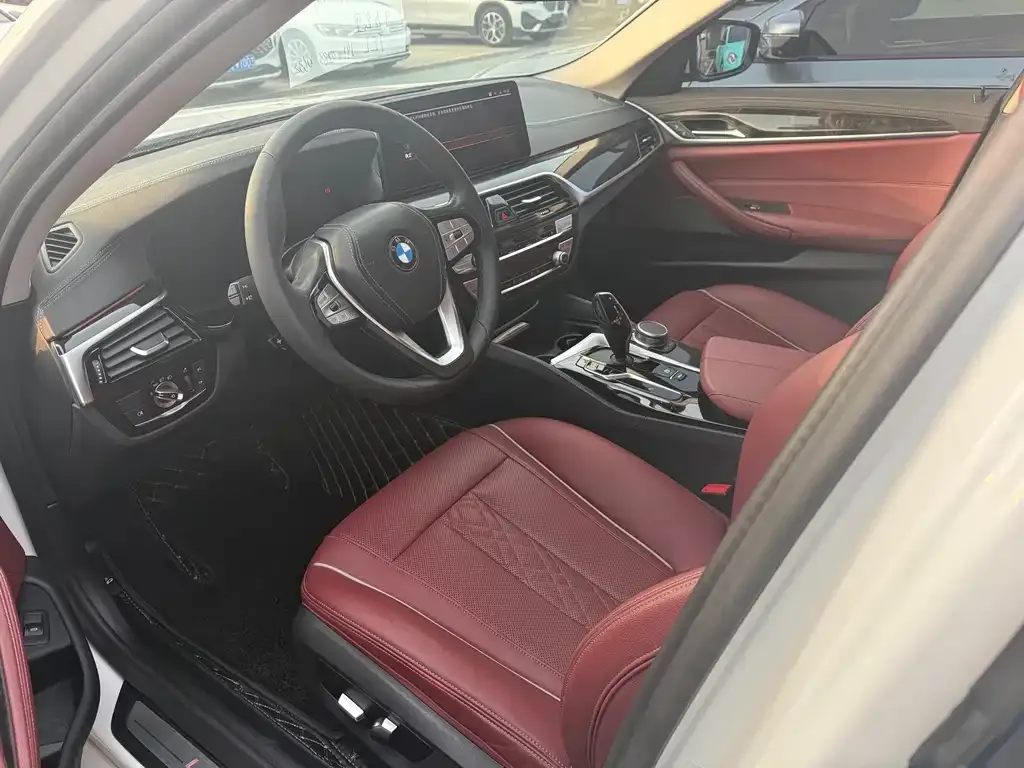 BMW 5 Series 2021 из CN, фото 5