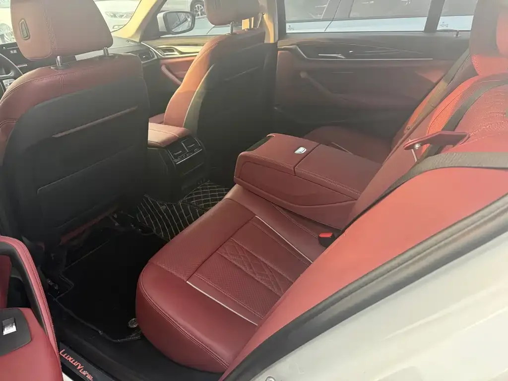 BMW 5 Series 2021 из CN, фото 7