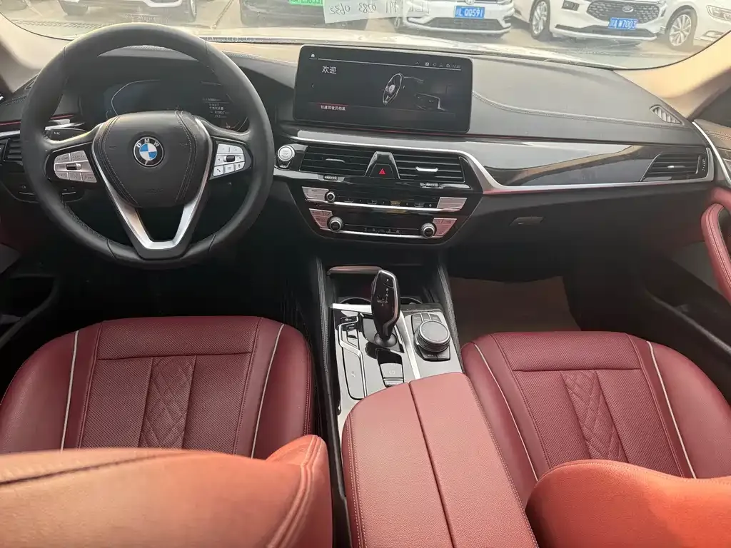 BMW 5 Series 2021 из CN, фото 6