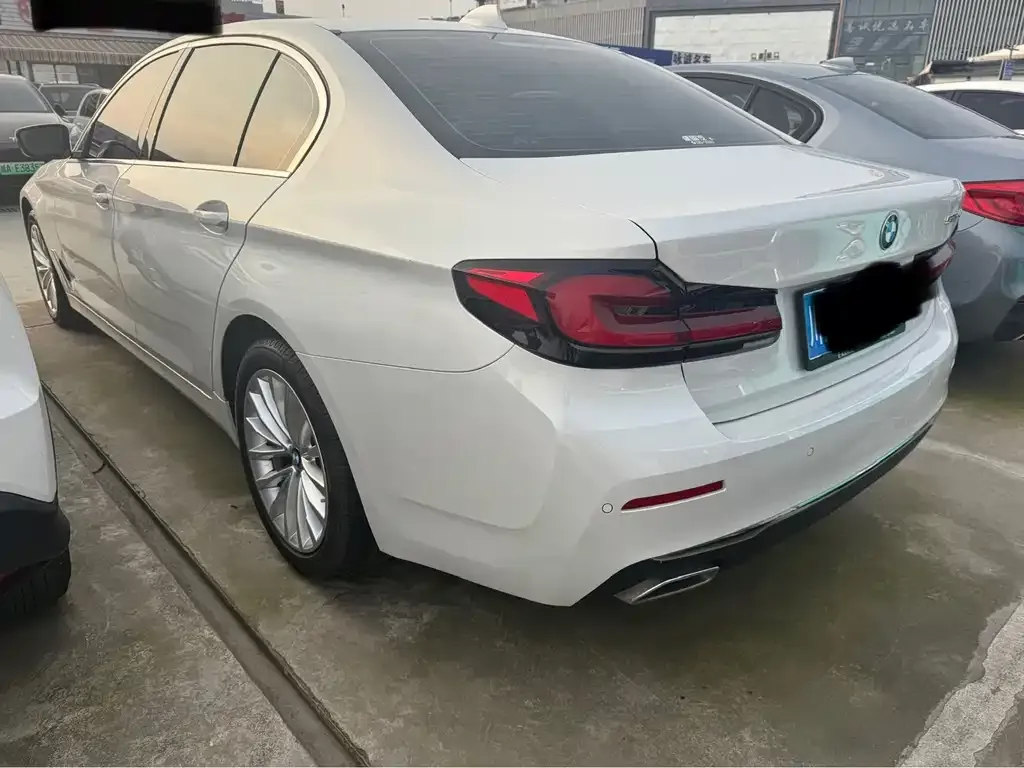 BMW 5 Series 2021 из CN, фото 4