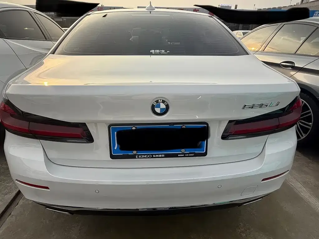 BMW 5 Series 2021 из CN, фото 9
