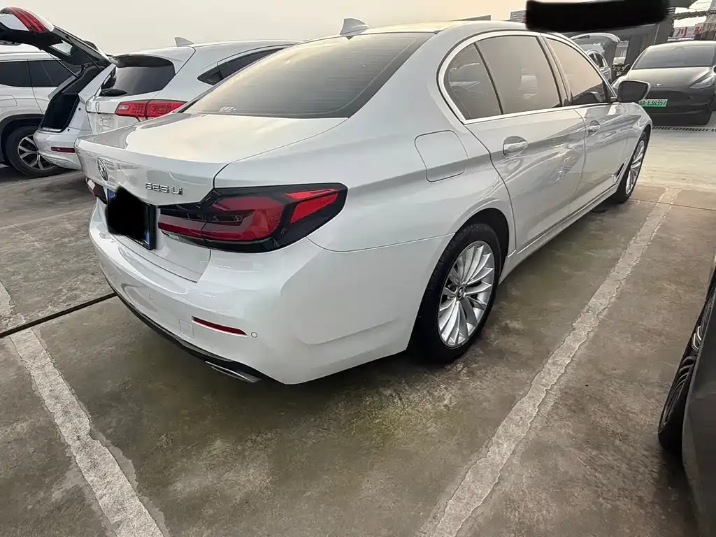 BMW 5 Series 2021 из CN, фото 8