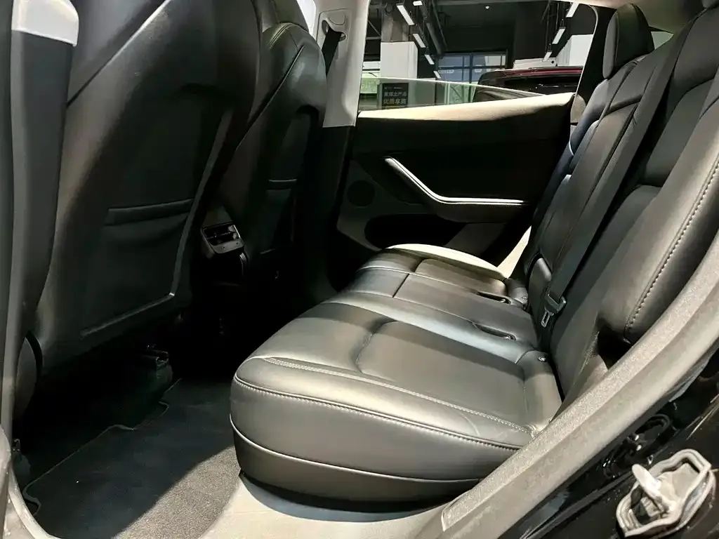 Tesla Model Y 2023 из CN, фото 5