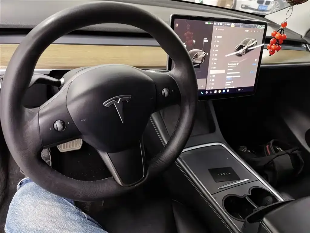 Tesla Model Y 2021 из CN, фото 8