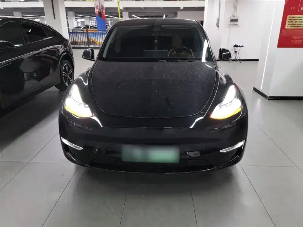 Tesla Model Y 2021 из CN, фото 4