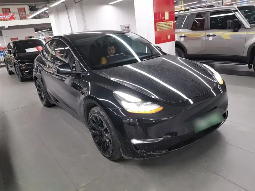 Tesla Model Y 2021 из CN, фото 7