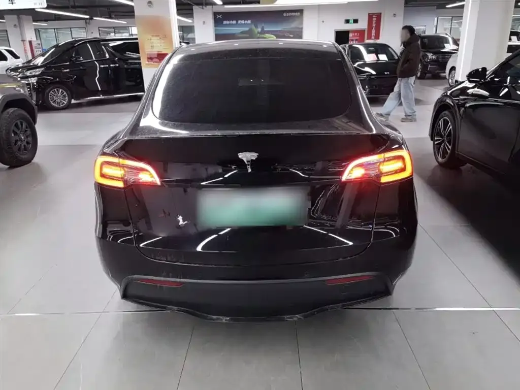Tesla Model Y 2021 из CN, фото 5