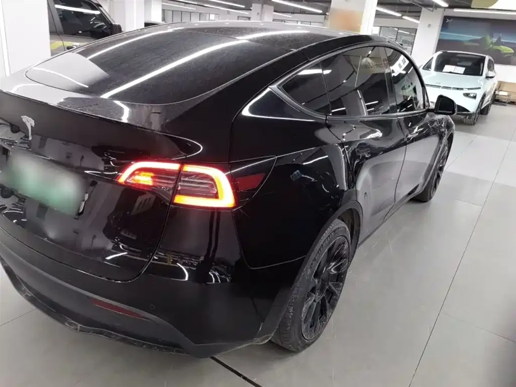 Tesla Model Y 2021 из CN, фото 9