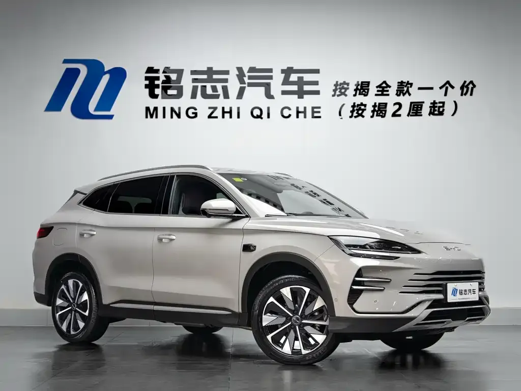 BYD PLUS New Energy — фото 6