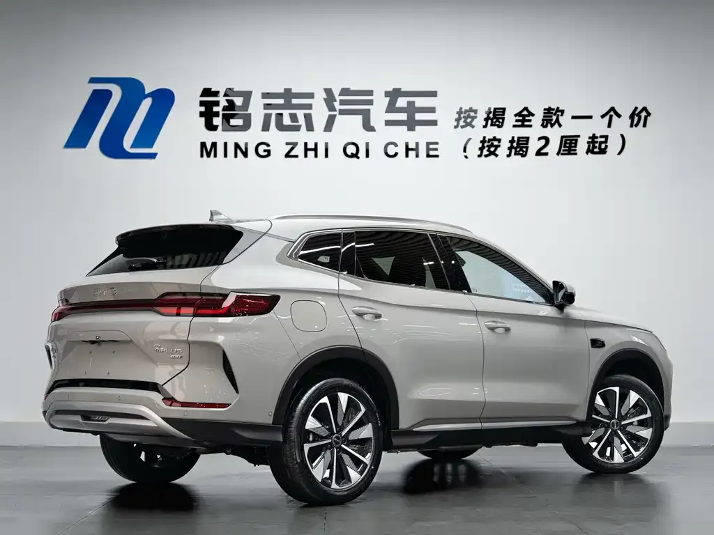BYD PLUS New Energy — фото 8