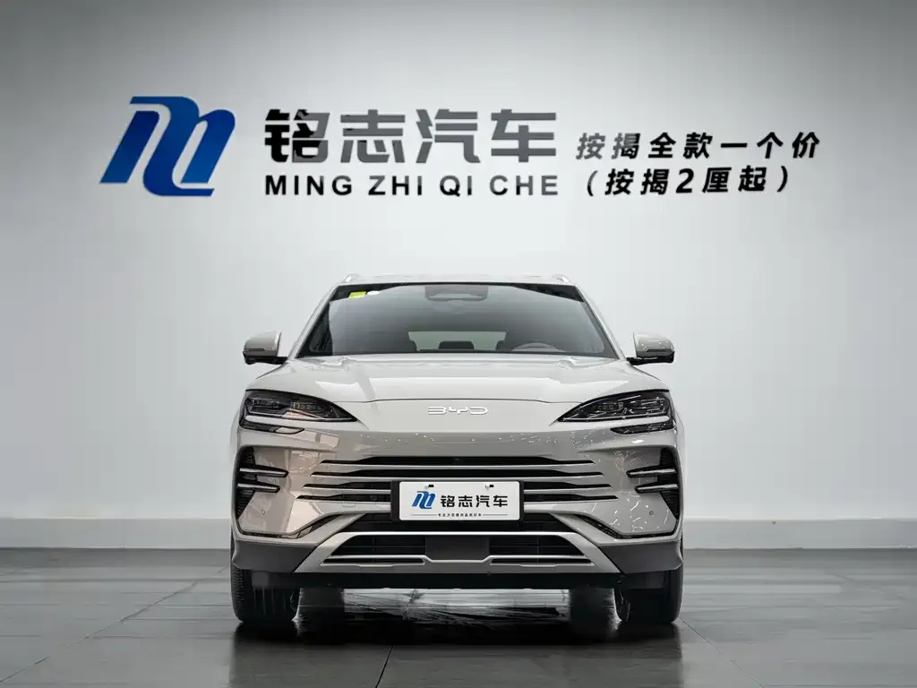 BYD PLUS New Energy — фото 10