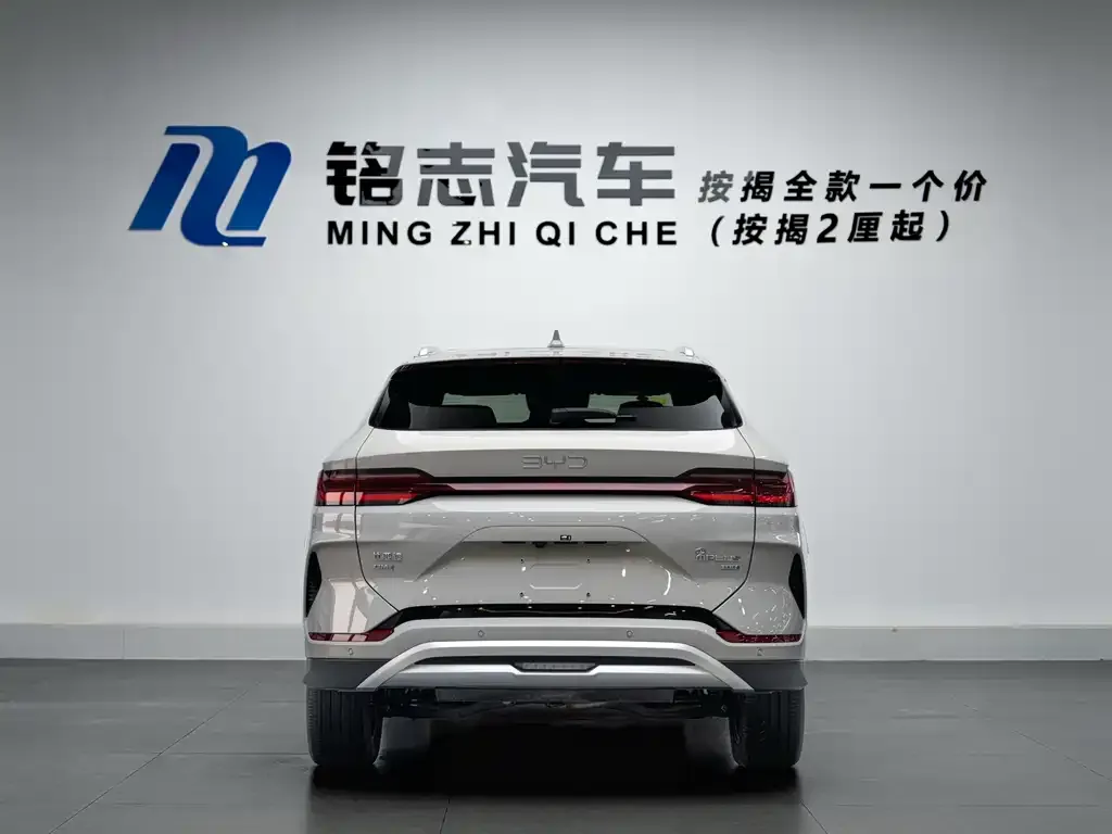 BYD PLUS New Energy — фото 4
