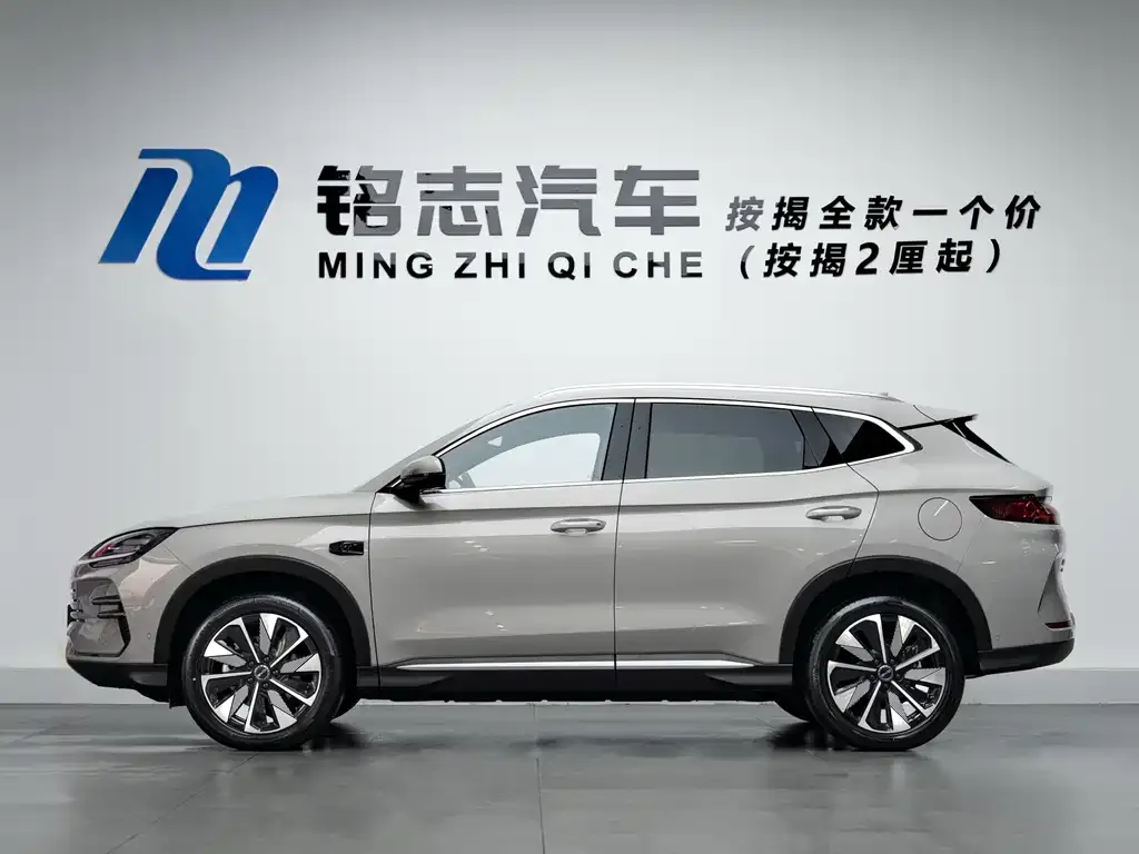 BYD PLUS New Energy — фото 5