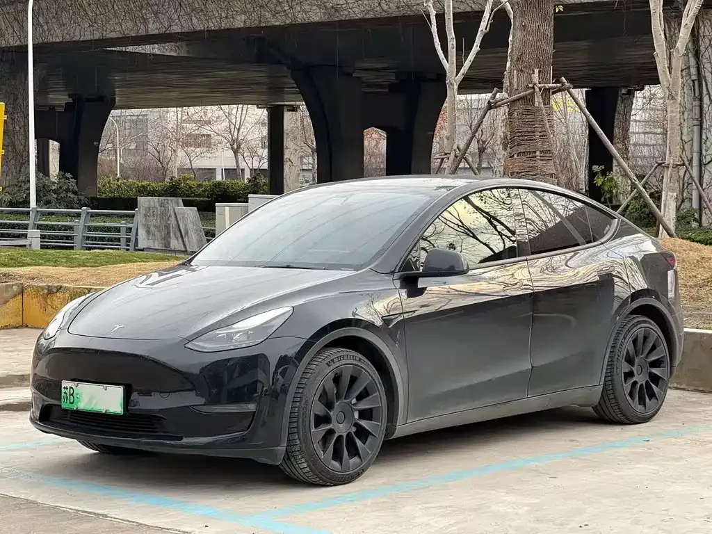 Tesla Model Y 2021 из CN, фото 1