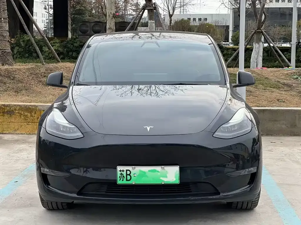 Tesla Model Y 2021 из CN, фото 8