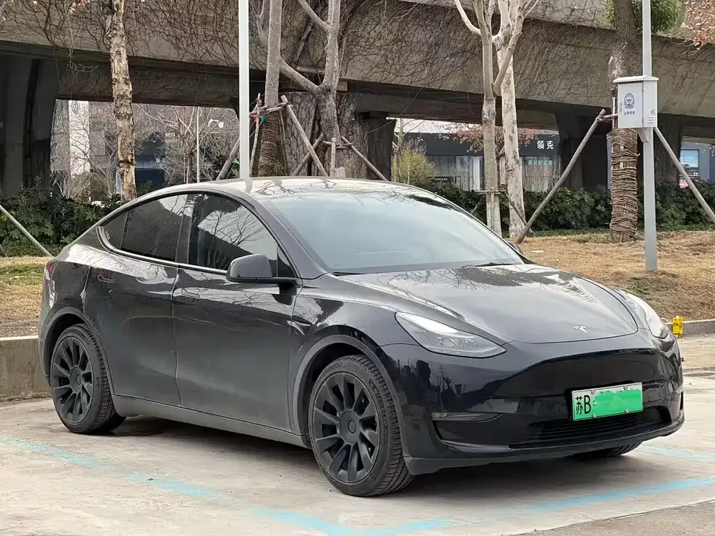 Tesla Model Y 2021 из CN, фото 9