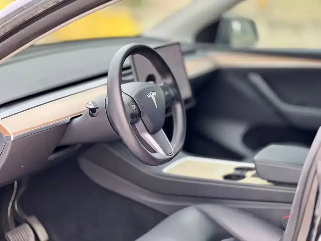 Tesla Model Y 2021 из CN, фото 6