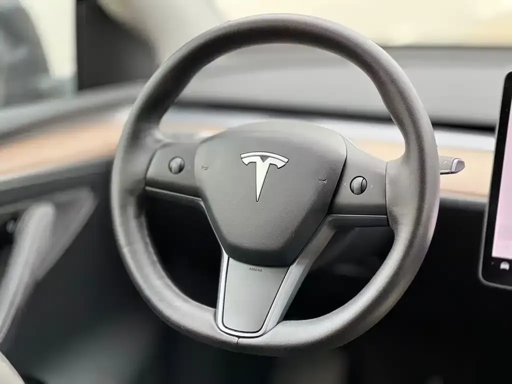 Tesla Model Y 2021 из CN, фото 3