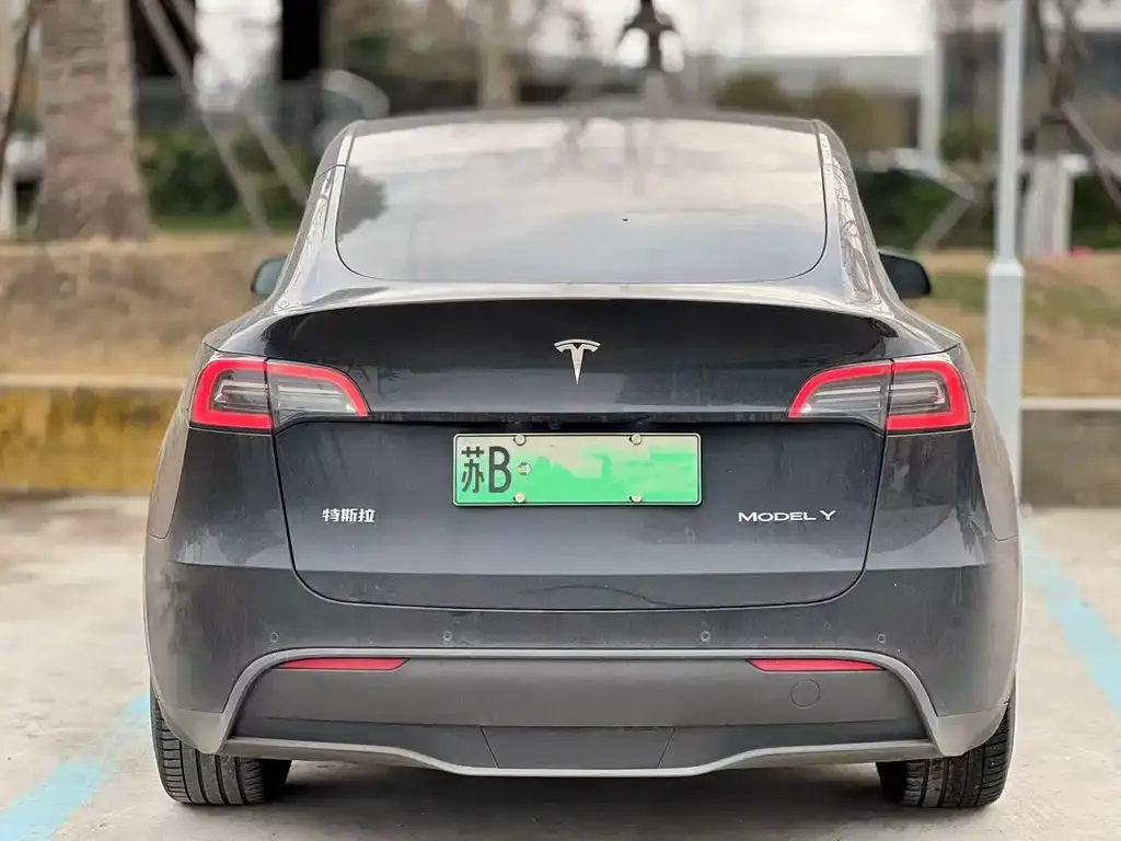Tesla Model Y 2021 из CN, фото 4