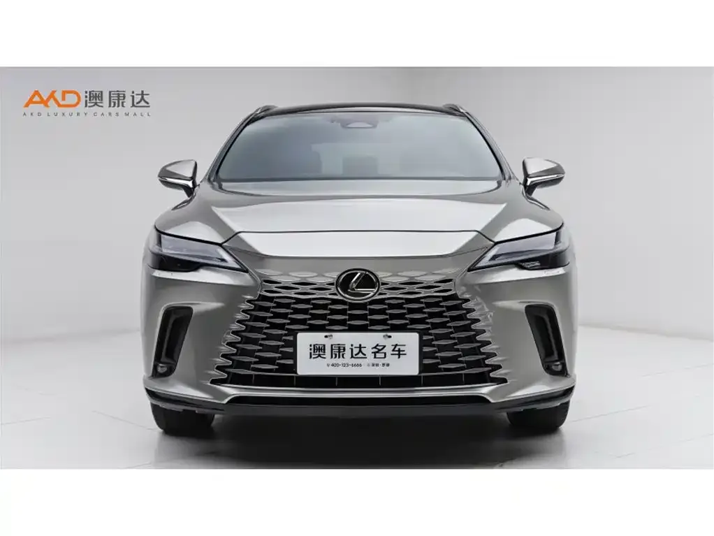 Lexus RX 2023 из CN, фото 2
