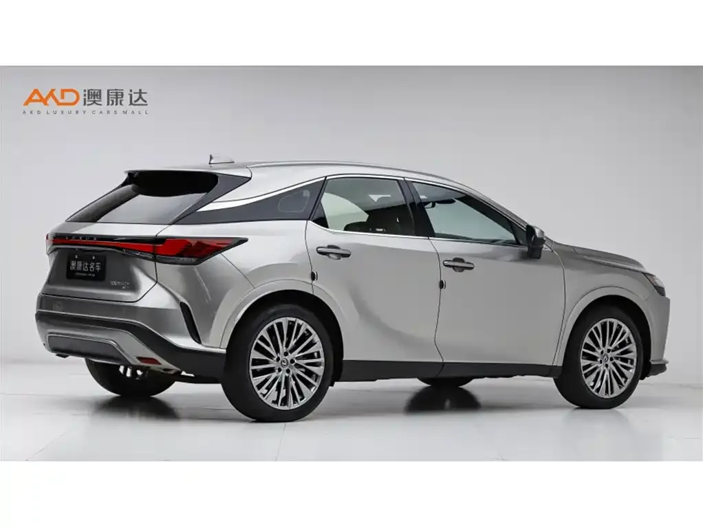 Lexus RX 2023 из CN, фото 9