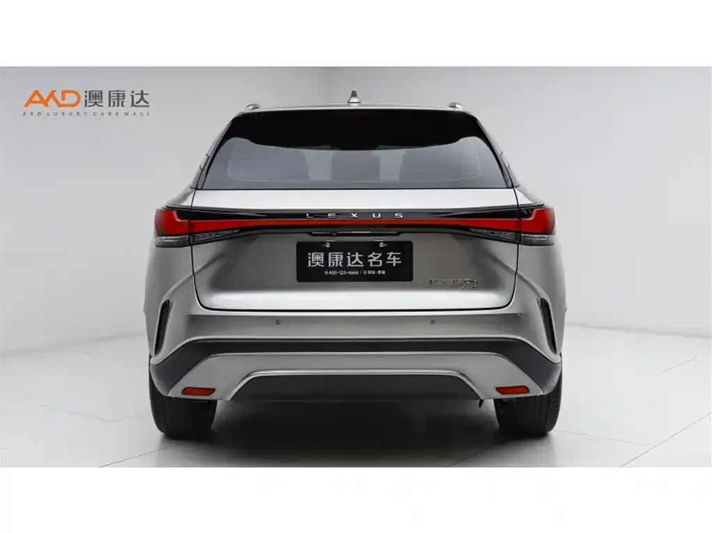 Lexus RX 2023 из CN, фото 3